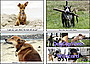 Oops ... Sorry Friendship Mini-Pack