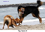 PRESS Photo Gallery portfolio